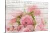 Roses in Paris-Kimberly Allen-Stretched Canvas