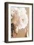 Roses in Sepia-Christine Zalewski-Framed Premium Giclee Print
