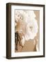 Roses in Sepia-Christine Zalewski-Framed Art Print