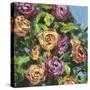 Roses in Sunlight I-Melissa Wang-Stretched Canvas