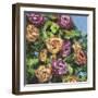 Roses in Sunlight I-Melissa Wang-Framed Art Print