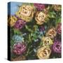 Roses in Sunlight II-Melissa Wang-Stretched Canvas