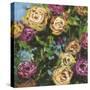 Roses in Sunlight II-Melissa Wang-Stretched Canvas