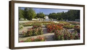 Roses in the Doblhoffpark, Rosarium, Baden Bei Wien, Lower Austria, Austria-Rainer Mirau-Framed Photographic Print