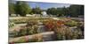 Roses in the Doblhoffpark, Rosarium, Baden Bei Wien, Lower Austria, Austria-Rainer Mirau-Mounted Photographic Print