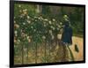 Roses in the Garden at Petit Gennevilliers, 1886-Gustave Caillebotte-Framed Art Print