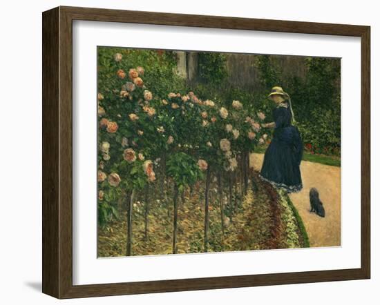 Roses in the Garden at Petit Gennevilliers, 1886-Gustave Caillebotte-Framed Art Print