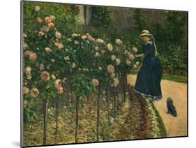 Roses in the Garden at Petit Gennevilliers, 1886-Gustave Caillebotte-Mounted Art Print