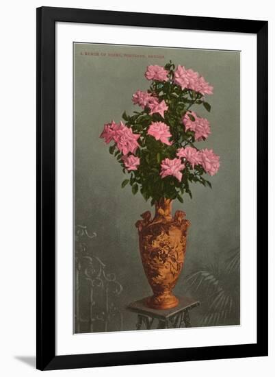 Roses in Vase, Portland, Oregon-null-Framed Art Print