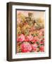 Roses in Windsor gardens-Mary Smith-Framed Giclee Print