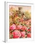 Roses in Windsor gardens-Mary Smith-Framed Giclee Print