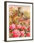 Roses in Windsor gardens-Mary Smith-Framed Giclee Print