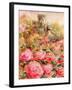 Roses in Windsor gardens-Mary Smith-Framed Giclee Print