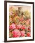 Roses in Windsor gardens-Mary Smith-Framed Giclee Print