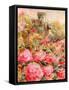 Roses in Windsor gardens-Mary Smith-Framed Stretched Canvas