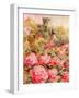 Roses in Windsor gardens-Mary Smith-Framed Giclee Print