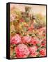 Roses in Windsor gardens-Mary Smith-Framed Stretched Canvas