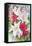 Roses, Lilies and Snapdragons-Joanne Porter-Framed Stretched Canvas