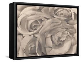 Roses, Mexico by Tina Modotti-null-Framed Stretched Canvas