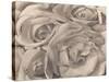 Roses, Mexico by Tina Modotti-null-Stretched Canvas