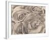 Roses, Mexico by Tina Modotti-null-Framed Photographic Print