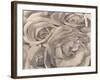 Roses, Mexico by Tina Modotti-null-Framed Photographic Print