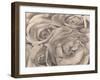 Roses, Mexico by Tina Modotti-null-Framed Photographic Print