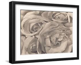 Roses, Mexico by Tina Modotti-null-Framed Photographic Print