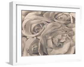 Roses, Mexico by Tina Modotti-null-Framed Photographic Print