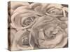 Roses, Mexico by Tina Modotti-Fine Art-Stretched Canvas