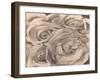 Roses, Mexico by Tina Modotti-Fine Art-Framed Photographic Print