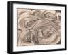 Roses, Mexico by Tina Modotti-Fine Art-Framed Photographic Print