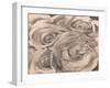 Roses, Mexico by Tina Modotti-Fine Art-Framed Photographic Print
