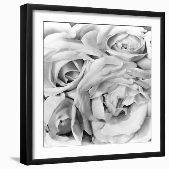 Roses, Mexico City, 1924-Tina Modotti-Framed Premium Photographic Print