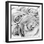 Roses, Mexico City, 1924-Tina Modotti-Framed Premium Photographic Print