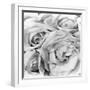 Roses, Mexico City, 1924-Tina Modotti-Framed Premium Photographic Print