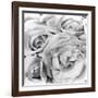 Roses, Mexico City, 1924-Tina Modotti-Framed Premium Photographic Print