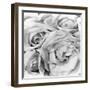 Roses, Mexico City, 1924-Tina Modotti-Framed Photographic Print