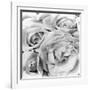 Roses, Mexico City, 1924-Tina Modotti-Framed Photographic Print