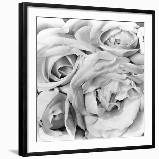 Roses, Mexico City, 1924-Tina Modotti-Framed Photographic Print