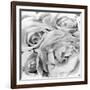 Roses, Mexico City, 1924-Tina Modotti-Framed Photographic Print