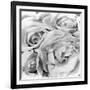 Roses, Mexico City, 1924-Tina Modotti-Framed Photographic Print