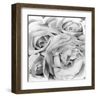 Roses, Mexico City, 1924-Tina Modotti-Framed Premium Photographic Print