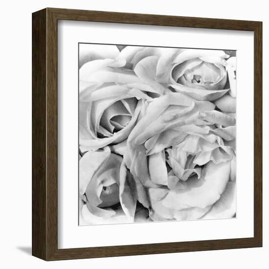 Roses, Mexico City, 1924-Tina Modotti-Framed Premium Photographic Print