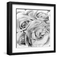 Roses, Mexico City, 1924-Tina Modotti-Framed Premium Photographic Print