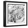 Roses, Mexico City, 1924-Tina Modotti-Framed Premium Photographic Print