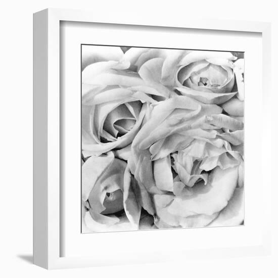 Roses, Mexico City, 1924-Tina Modotti-Framed Premium Photographic Print