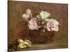 Roses of Nice, 1882-Ignace Henri Jean Fantin-Latour-Stretched Canvas