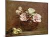 Roses of Nice, 1882-Ignace Henri Jean Fantin-Latour-Mounted Giclee Print