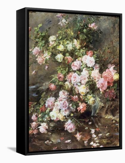 Roses on a River Bank-Madeleine Lemaire-Framed Stretched Canvas